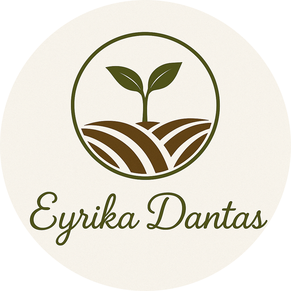 Logo Eyrika Dantas