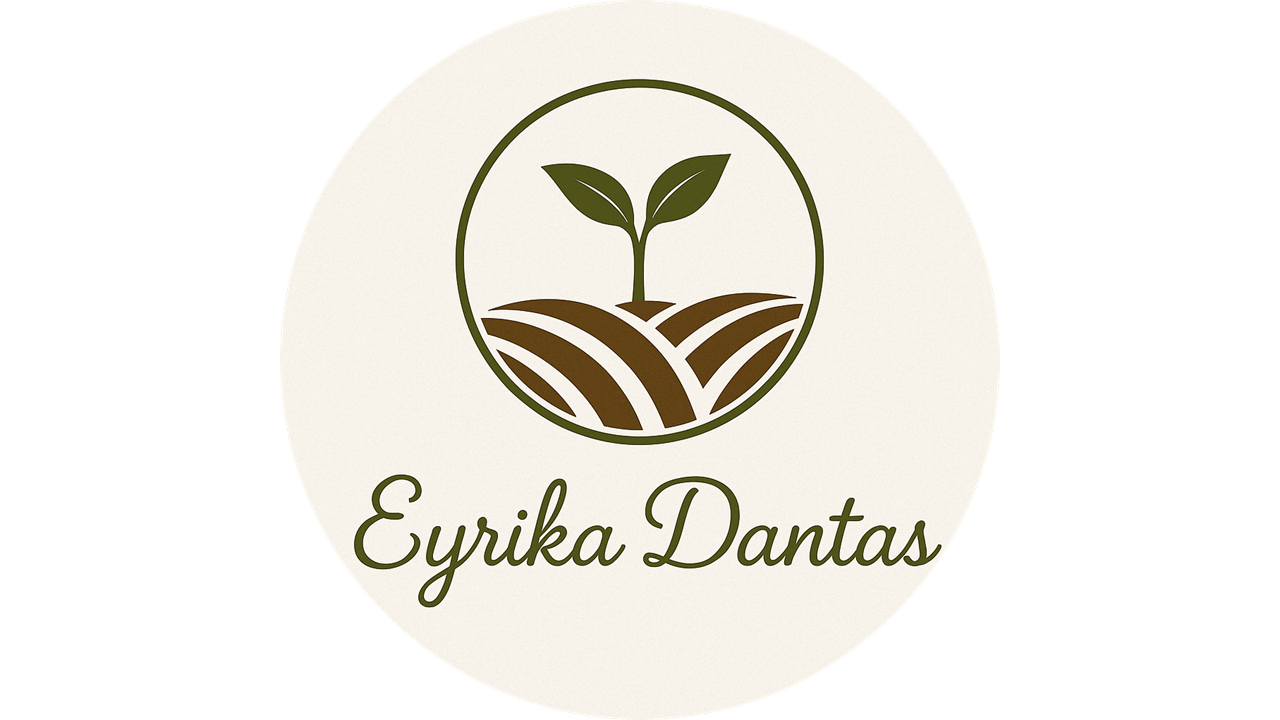 Visualização do Projeto 1